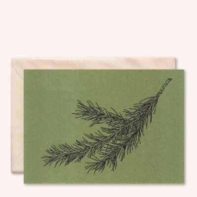 Carta sostenibile + busta | Ramo di pino | foglia d'ulivo