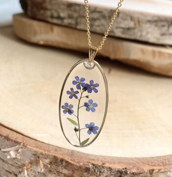 Collier fleur séchée résine Myosotis sauvage, pendentif ovale doré 1