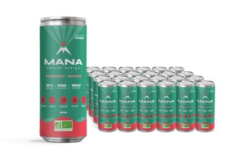 MANA Natural Energy - Cranberry & Mangue - 250mL 2