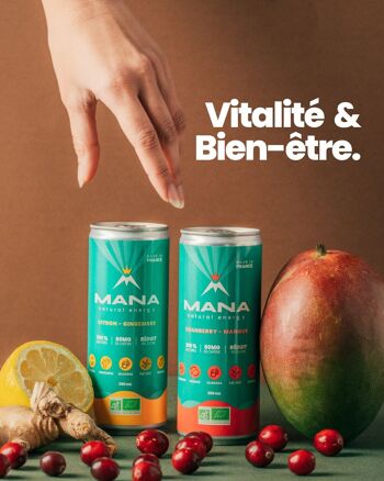 MANA Natural Energy - Cranberry & Mangue - 250mL 3