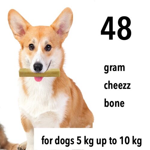 Himalaya recept hondenkauwstaaf 48 gram