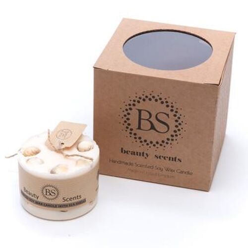 Small Champagne & Roses Scented Soy Candle With Sea Shells box of 6