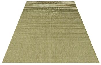 Assortiment de tapis d'intérieur et d'extérieur 11