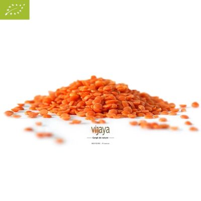 Corallo di lenticchie - FRANCIA - 25kg - Bio* (*Certificato Biologico da FR-BIO-10)