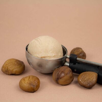AOP Ardèche chestnut ice cream - 2.5L