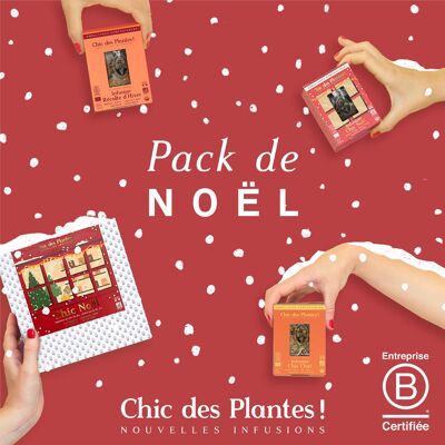 CHRISTMAS PACK - 18 BOXES OF 12 SACHETS + 6 GIFT BOXES