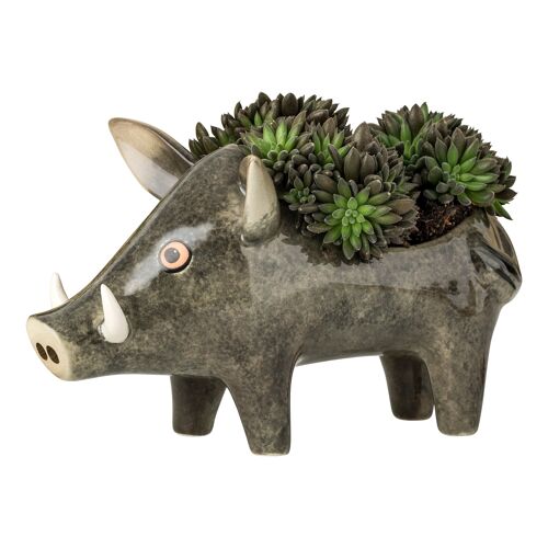 Wild Boar Planter