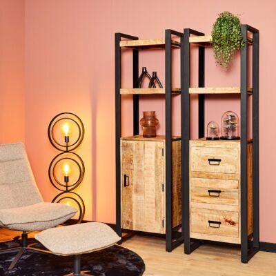 Britt bookshelf with door