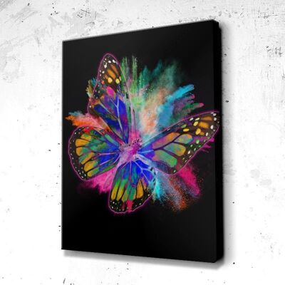 Tableau Papillon Splash - 60 x 40 - Plexiglas - Cadre noir