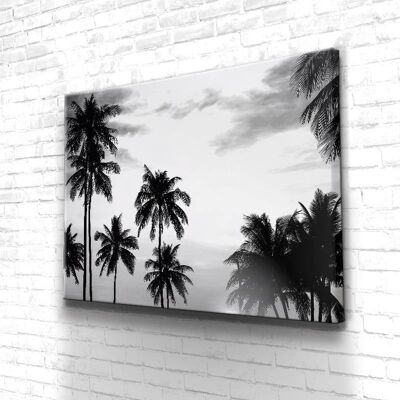 Tableau Palmiers Black And White - 60 x 40 - Plexiglas