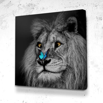 Tableau Lion Papillon - 60 x 60 - Plexiglas - Cadre noir