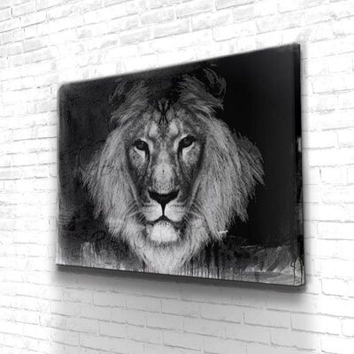 Tableau Lion Dirty - 60 x 40 - Plexiglas - Cadre noir