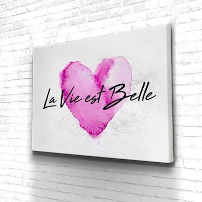 Tableau La Vie Est Belle - 60 x 40 - Plexiglas - Cadre noir
