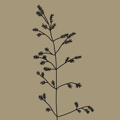 Illustration 30x40cm - Grasses