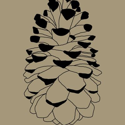 Illustration 30x40cm - The pine cone