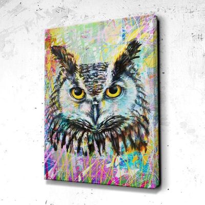 Tableau Hibou Colors - 40 x 30 - Plexiglas - Sans cadre