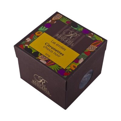 Mit dunkler Schokolade überzogene Zitronetten - 250 g Schachtel