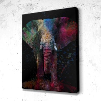 Tableau Éléphant Splash - 60 x 40 - Plexiglas - Sans cadre