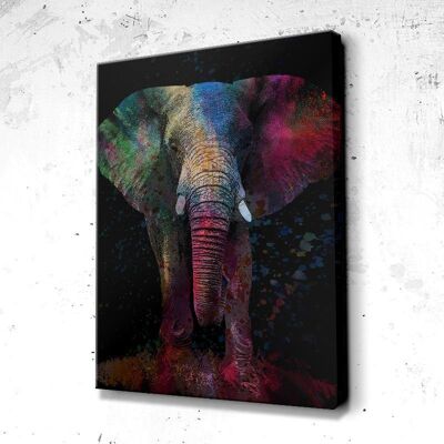Tableau Éléphant Splash - 60 x 40 - Plexiglas - Cadre noir