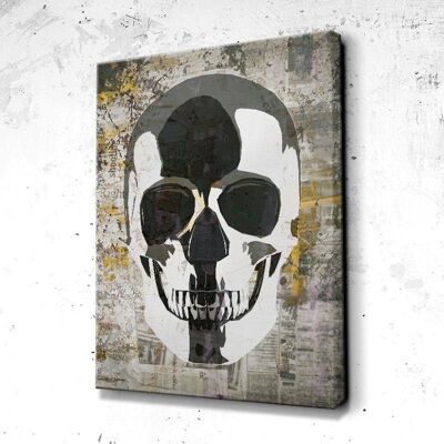 Tableau Crâne Skull Paper - 100 x 75 - Plexiglas - Cadre noir