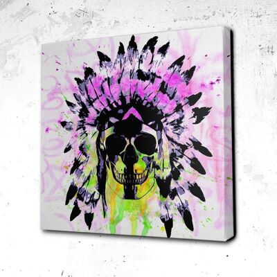 Tableau Crâne Indian Skull White Face - 60 x 60 - Plexiglas - Cadre noir