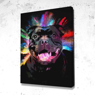 Tableau Chien Staff Splash - 60 x 40 - Plexiglas - Cadre noir