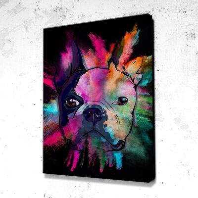 Tableau Chien Bulldog Splash - 40 x 30 - Plexiglas - Cadre noir