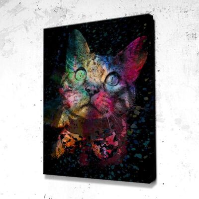 Tableau Chat Splash - 160 x 120 - Plexiglas - Cadre noir