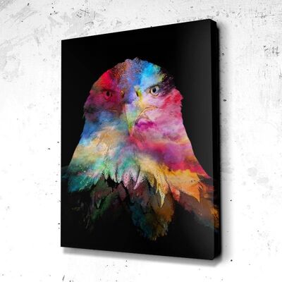 Tableau Aigle splash - 160 x 120 - Plexiglas - Cadre noir