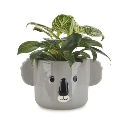 Pot de fleurs - Koala-Topf