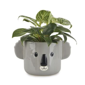 Pot de fleurs - Koala Pot 1