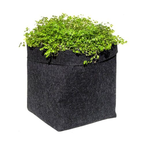 Pot géotextile noir 1L pour aromatiques , plant pot , grow pot , plante verte, design