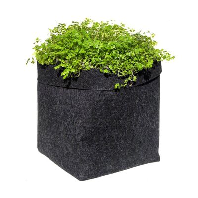 1L black geotextile pot for aromatics, plant pot, grow pot, green plant, design
