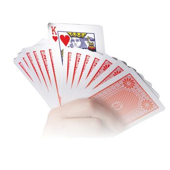 Magie époustouflante - 250 tours de cartes 3