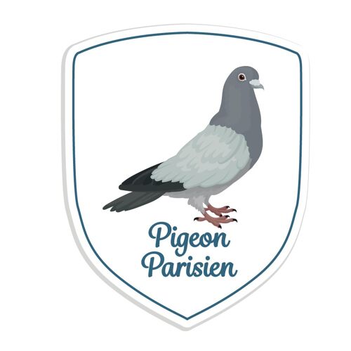 PIGEON PARISIEN