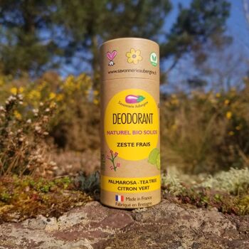 Deodorant solide bio Zeste frais - citron vert palmarosa - tube carton compostable - biologique et naturel 4