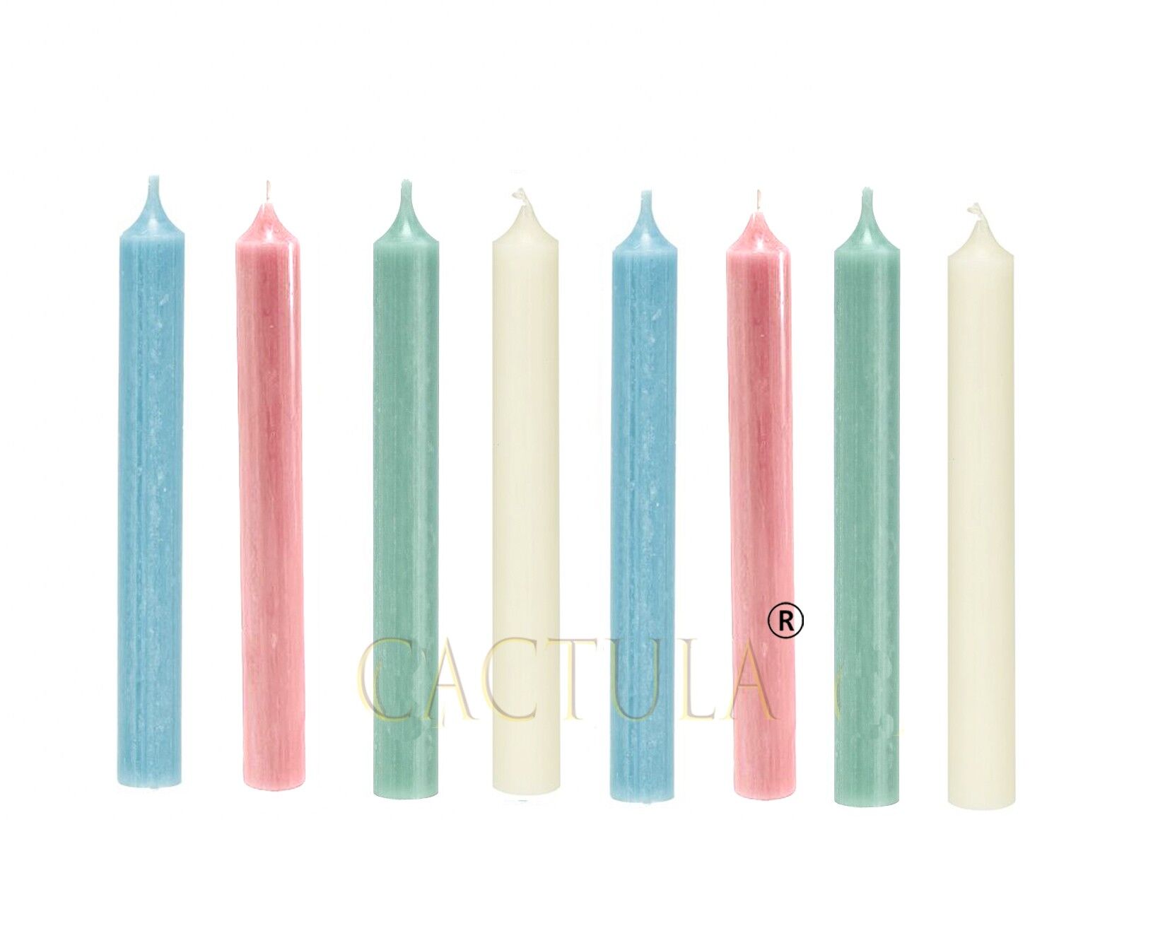Candele cena Cactula in 3 colori Sweet Light Blue Pink e Ivory