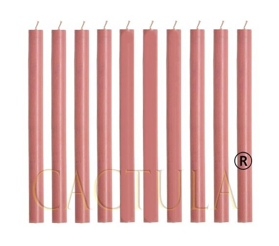 Cactula Tafelkerzen Altrosa Lange Kerzen 10 Stück 2,1 x 30 cm