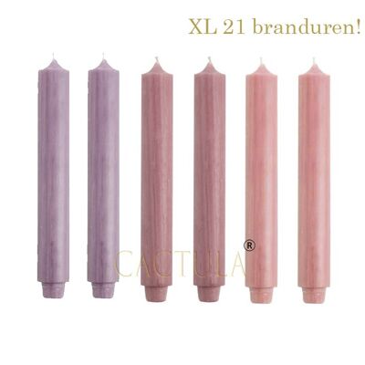 Cactula bougies de table de haute qualité XL extra épaisses en 3 couleurs 3,2 cm x 30 cm Fleur