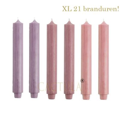 Cactula bougies de table de haute qualité XL extra épaisses en 3 couleurs 3,2 cm x 30 cm Fleur