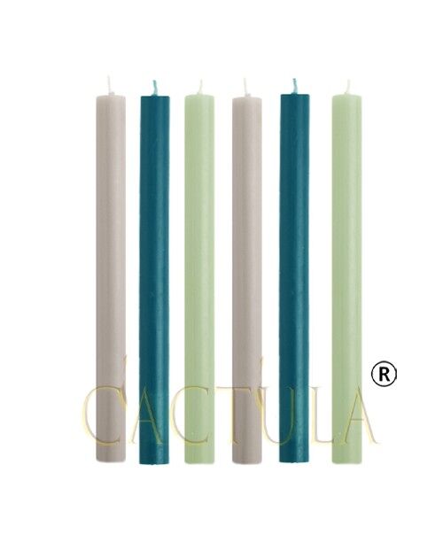 Cactula dinner candles in 3 colors Cool Breeze 6 pcs 2,1 x 30 cm