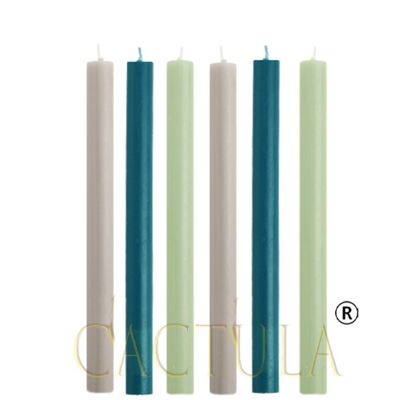 Cactula dinner candles in 3 colors Cool Breeze 6 pcs 2,1 x 30 cm