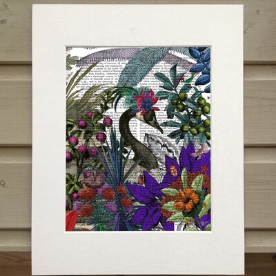 Glorious plumes 2, Botanical bird Book art print