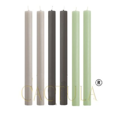 Velas de cena Cactula 6 piezas en combinación de colores escandinavos 6 piezas 2,1 x 30 cm