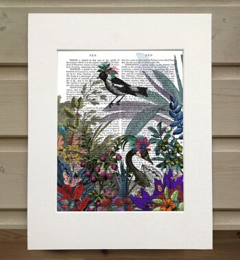 Collection Glorious Plumes de 12 estampes de livres d’oiseaux botaniques 2