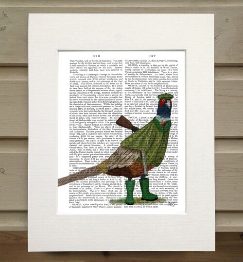 Pheasant shooting party 2, Bird book art print