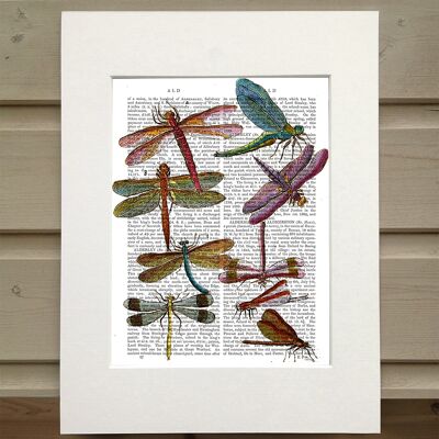 Dragonflies 3, Book art print