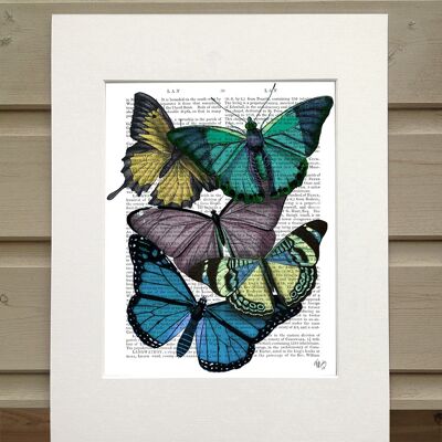 Big bold butterflies 4, Book art print