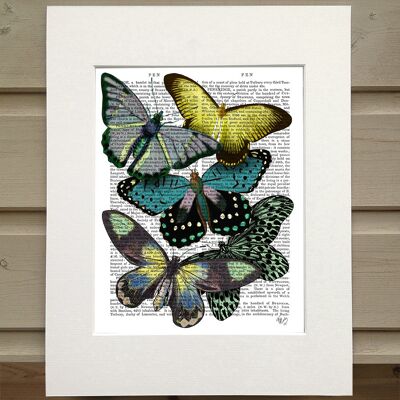 Big bold butterflies 6, Book art print