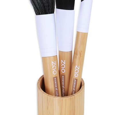 face brushes